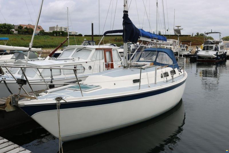 Cal 31
