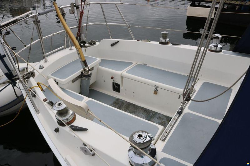 Cal 31