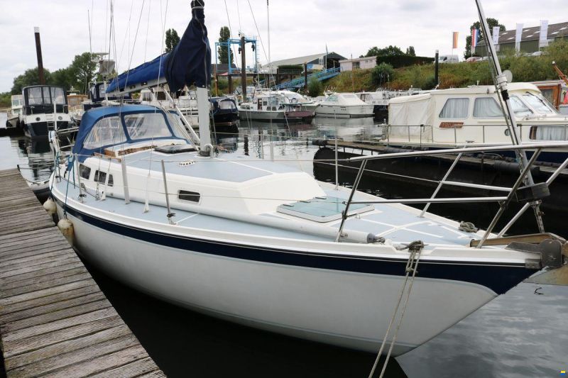 Cal 31