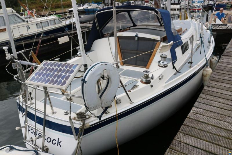 Cal 31