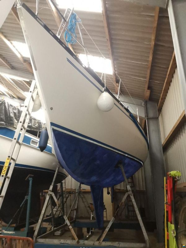 Opus / Pedersen & Thuesen Helmsman Opus 35