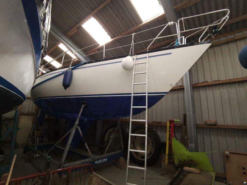 Opus / Pedersen & Thuesen Helmsman Opus 35