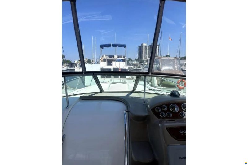Leopard 42