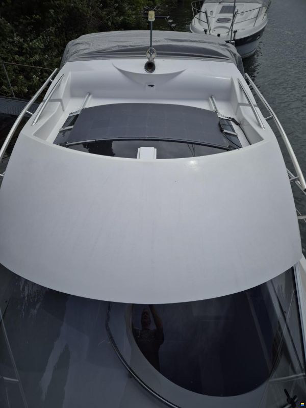 Sessa Dorado 26