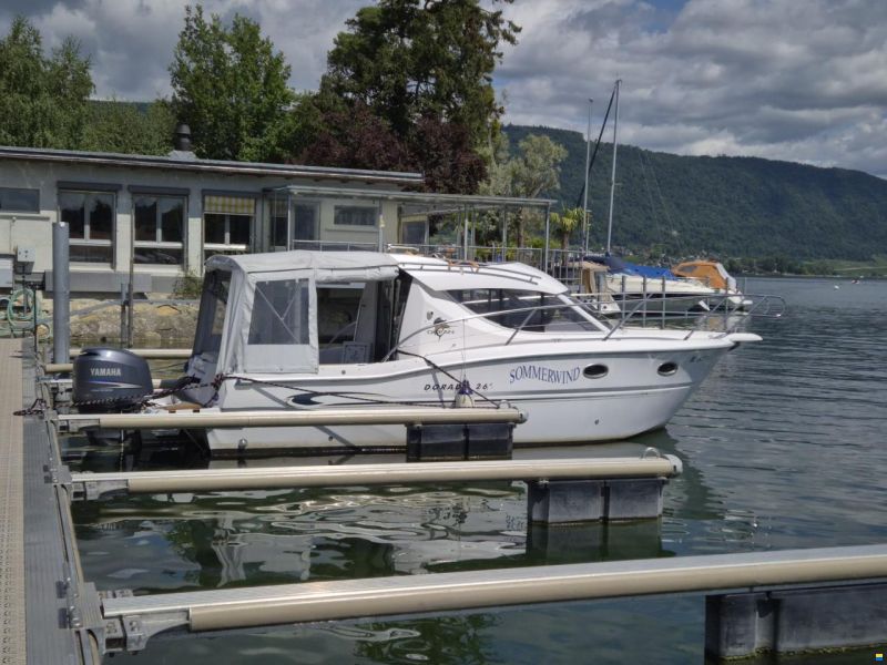 Sessa Dorado 26