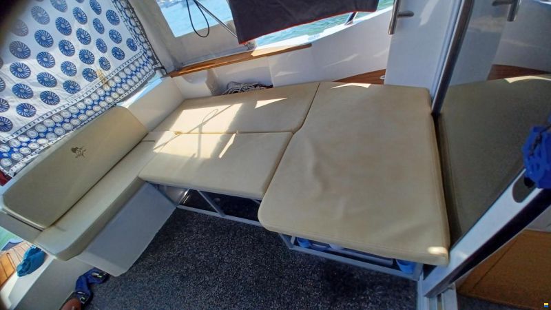 Sessa Dorado 26