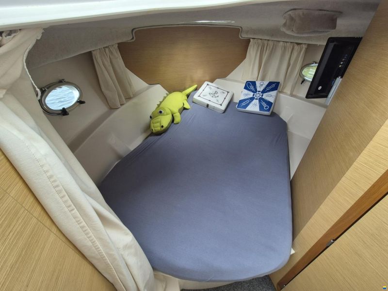 Sessa Dorado 26