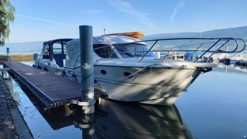 Sessa Dorado 26
