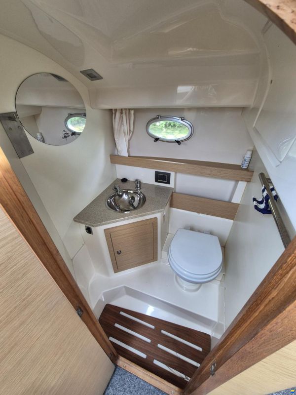 Sessa Dorado 26