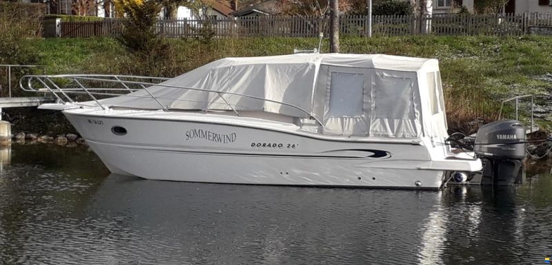 Sessa Dorado 26