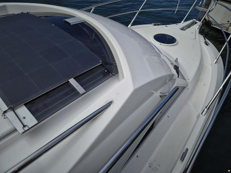 Sessa Dorado 26