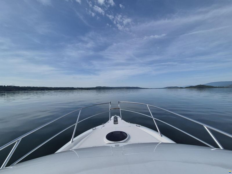 Sessa Dorado 26
