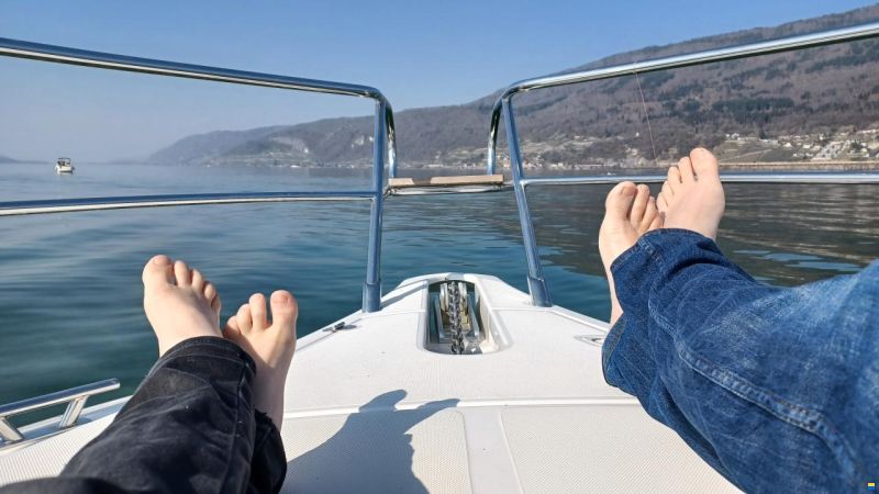 Sessa Dorado 26