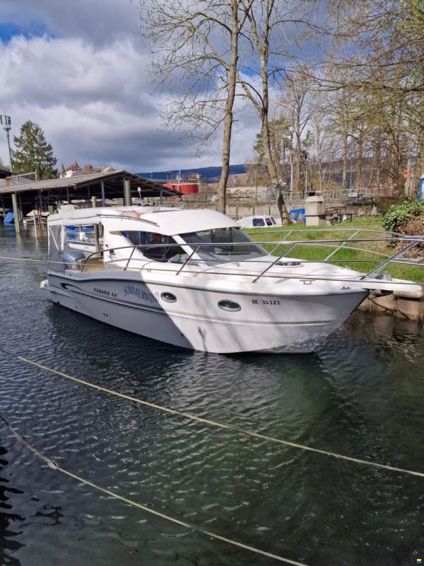 Sessa Dorado 26