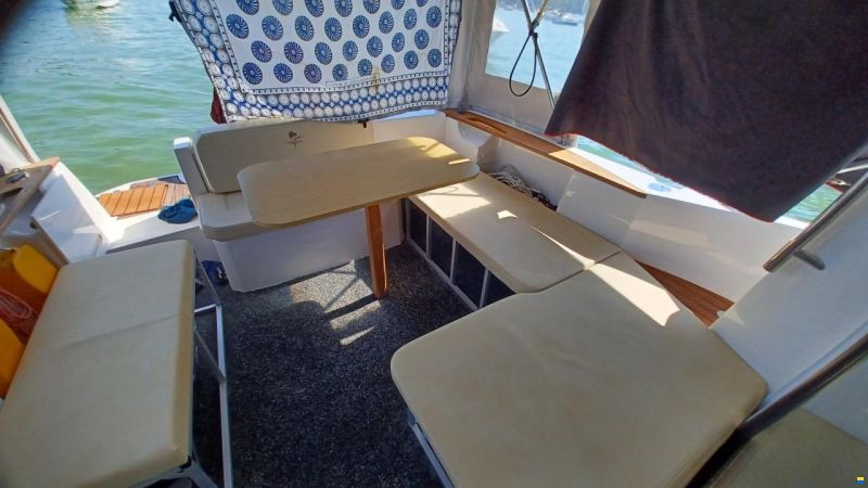 Sessa Dorado 26
