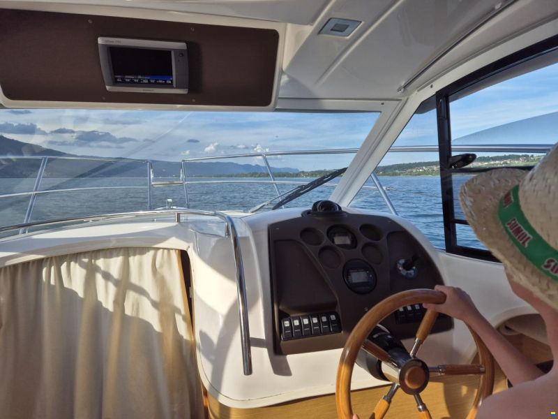 Sessa Dorado 26