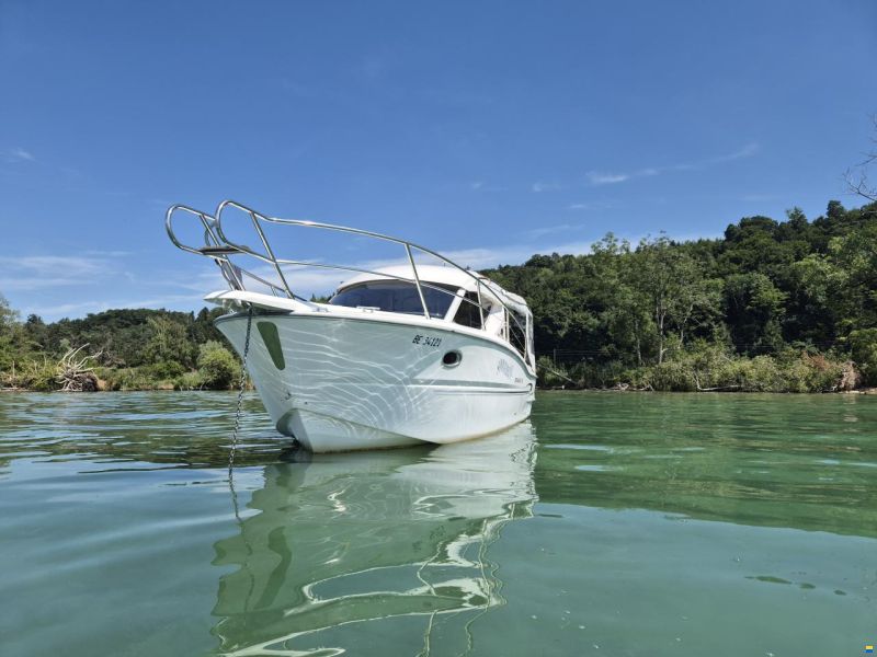 Sessa Dorado 26