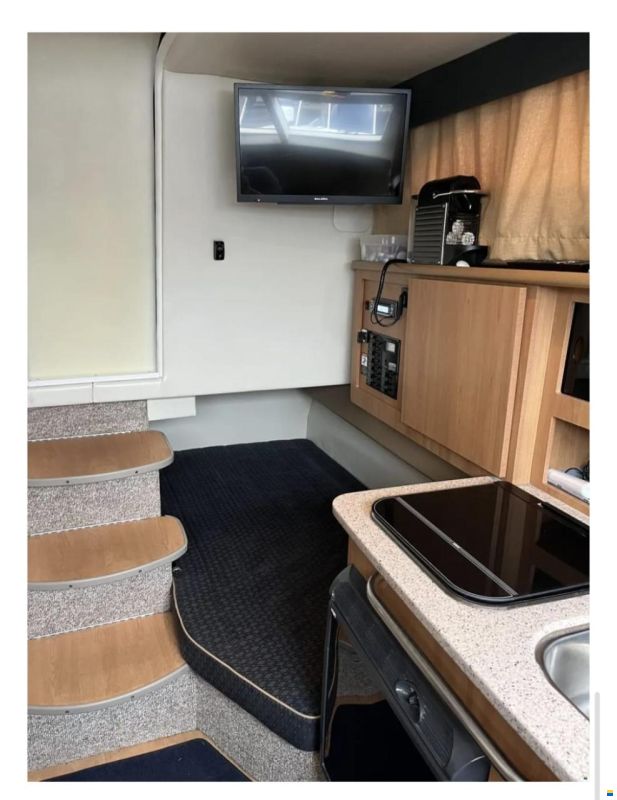 Bayliner 246 discovery