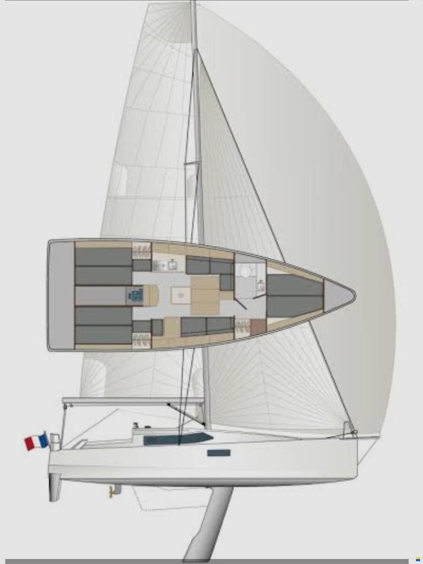 Pogo 36