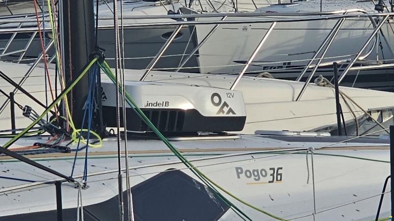 Pogo 36