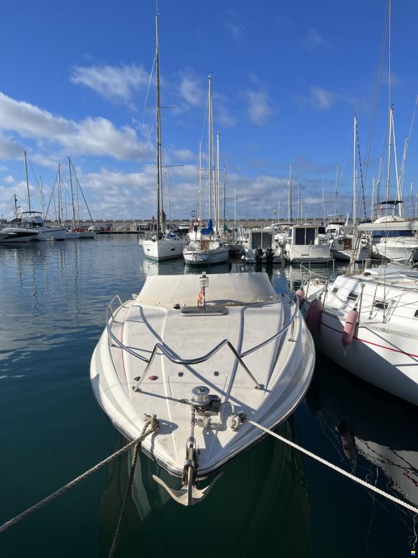 Sunseeker Mohawk 29