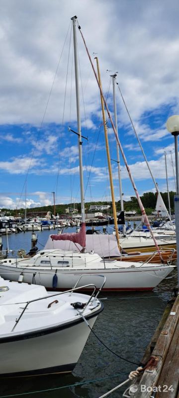 Albin Accent 26