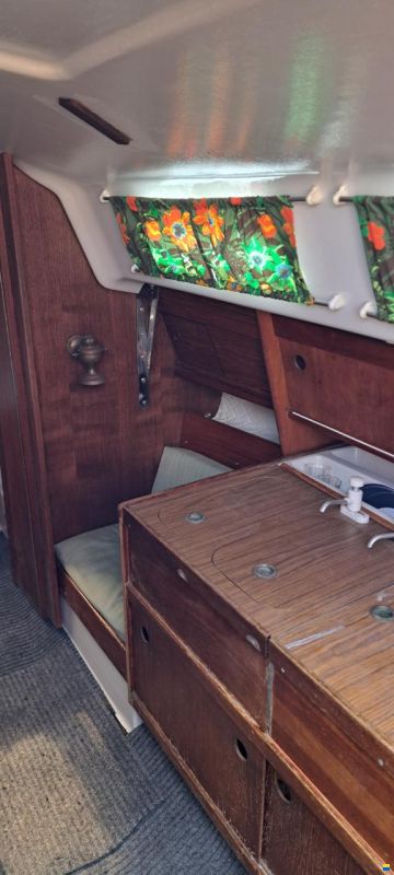 Albin Accent 26