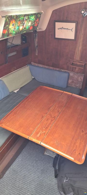 Albin Accent 26