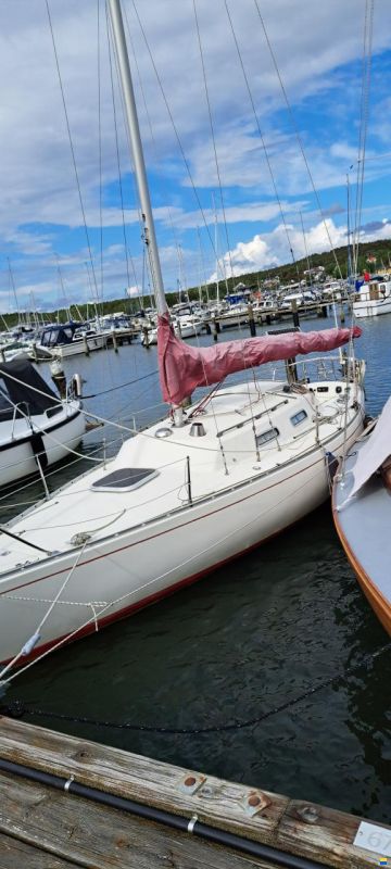 Albin Accent 26