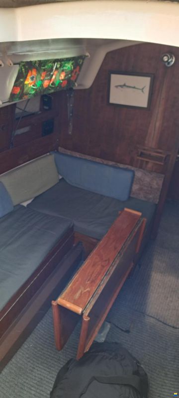 Albin Accent 26