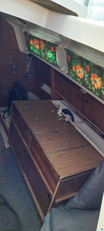 Albin Accent 26