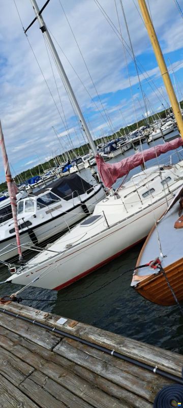 Albin Accent 26