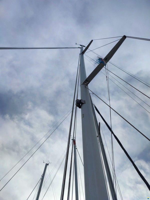 Bianca 320