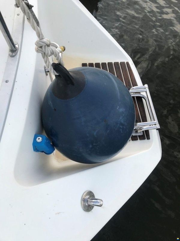 Bianca 320