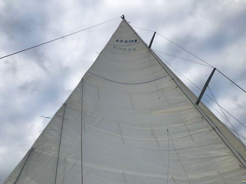 Bianca 320