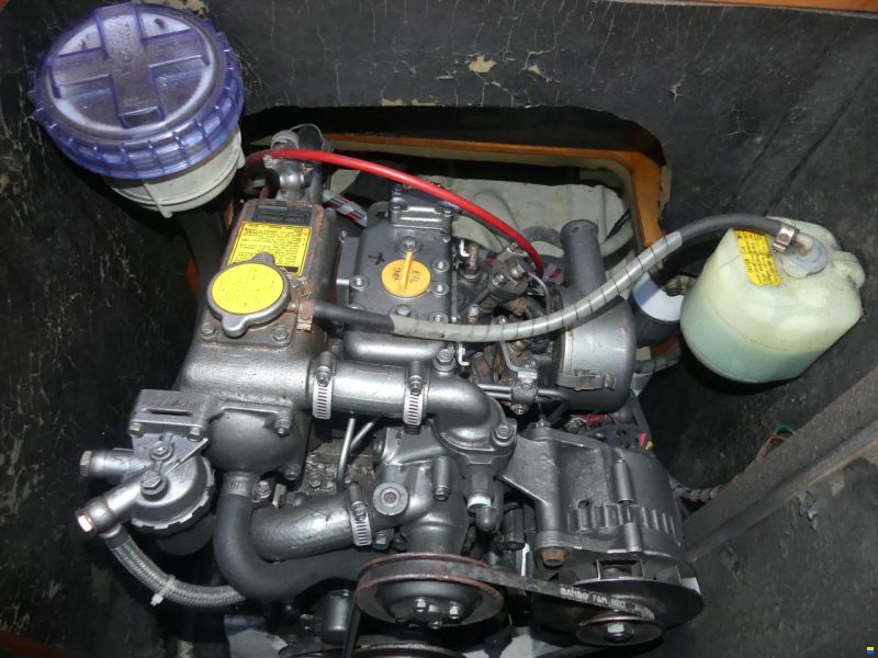Bianca 320