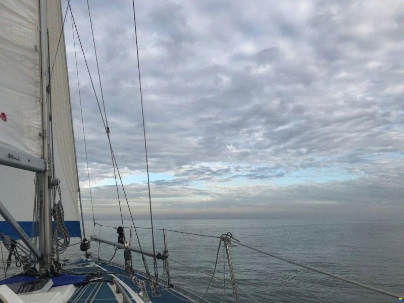 Bianca 320