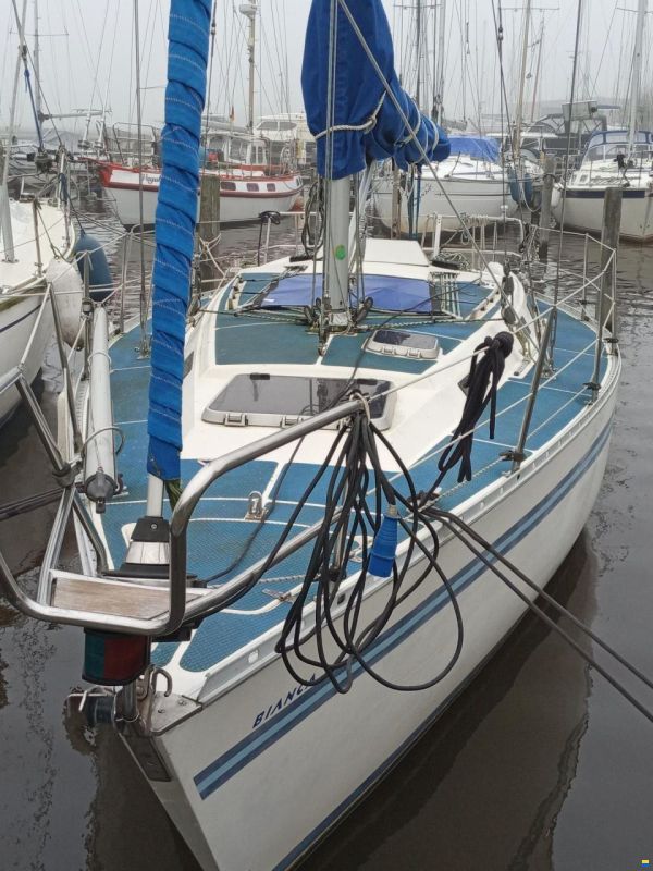Bianca 320
