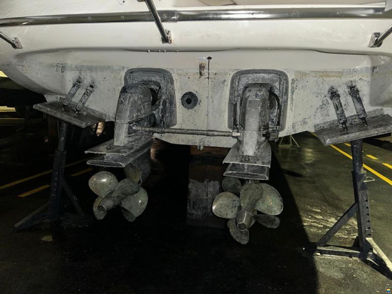 Cranchi Endurance 41