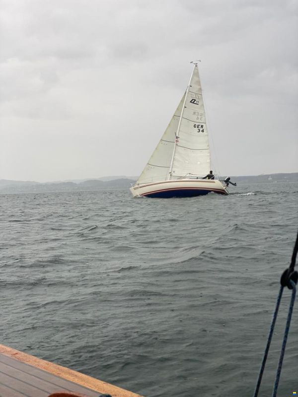 Larsen 25