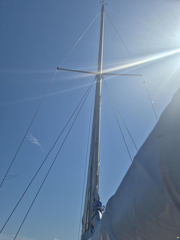 Fjord Plast 33