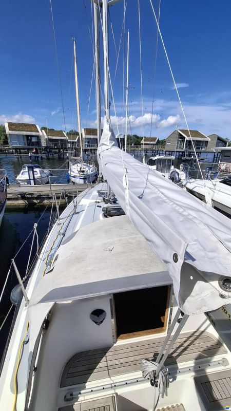 Sunwind 29