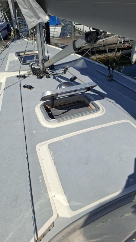 Sunwind 29