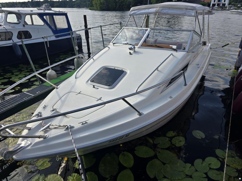 Sealine 198