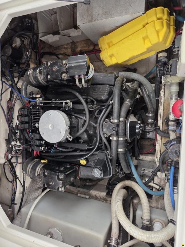 Wellcraft 2600 Martinique