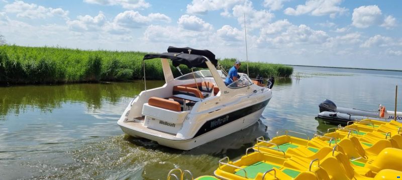 Wellcraft 2600 Martinique