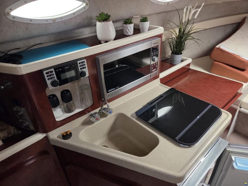 Wellcraft 2600 Martinique