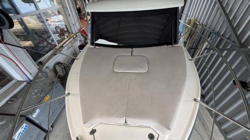 Capelli Dino 23