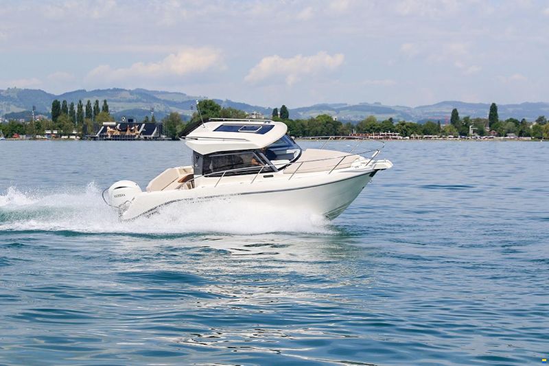 Capelli Dino 23