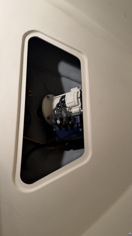 Capelli Dino 23